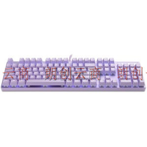 雷柏（Rapoo） V500PRO紫色版 机械键盘 有线键盘 游戏键盘 104键单光键盘 吃鸡键盘 办公键盘 黑轴