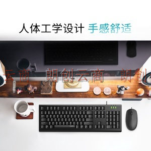 雷柏（Rapoo） X125S 键鼠套装 有线键鼠套装 办公键盘鼠标套装 防泼溅 电脑键盘 笔记本键盘 黑色