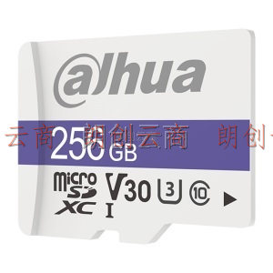 大华（Dahua）TF256G（MicroSD)存储卡 C100系列 4K U3 V30 C10 读速95MB/S 高速内存卡