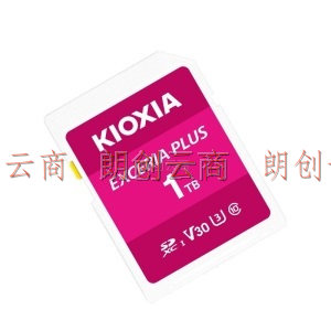 铠侠（Kioxia）1000GB SD存储卡 EXCERIA PLUS 极至光速系列 U3 读速100M/S 写速85M/S