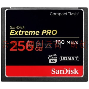 闪迪（SanDisk）256GB CF（CompactFlash）高级单反相机存储卡 UDMA7 4K至尊超极速版内存卡 读速160MB/s