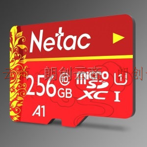朗科（Netac）256GB TF（MicroSD）存储卡 A1 U1 C10 经典国风版 读速100MB/s 行车记录仪家庭监控手机内存卡