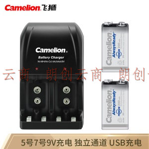 飞狮（Camelion）BC-0904S 4槽充电套装 5号/7号/9伏电池通用配9伏200毫安充电电池2节 万用表/报警器