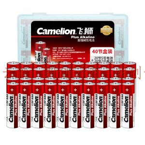 飞狮（Camelion）碱性电池 干电池 5号20节+7号20节 鼠标/键盘/血压计/血糖仪/遥控器/玩具/指纹锁