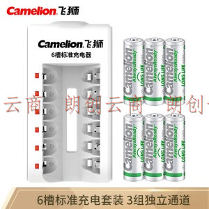 飞狮（Camelion）BC-1041 6槽充电套装 5号/7号电池通用配6节5号充电电池 遥控器/闹钟/玩具/收音机