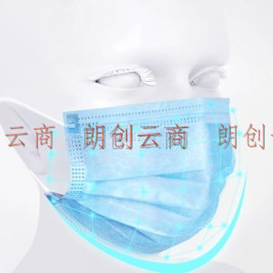 HANASS 一次性口罩 带熔喷层 全塑鼻梁条 三层防护 成人男女通用20片/包