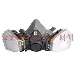绿思安 防护面具 防酸性气体口罩 雾霾 KN95防护罩 工业简装版 6200+6002七件套