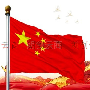递乐 中国国旗4号140*100cm纳米防水标准升旗旗帜 五星红旗 5346