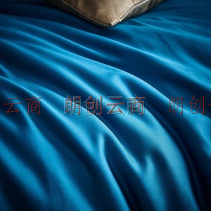 LOVO乐蜗家纺 双面天丝四件套 100%莱赛尔面料凉感丝滑轻奢床品套件 欧蓓拉（蓝）220*240cm