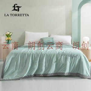 La Torretta 空调被夏凉被可水洗 刺绣亲肤水洗仿真丝夏被单双人被子薄被芯 清雅绿 200*230cm