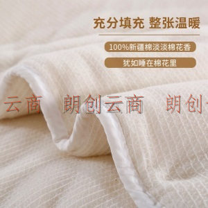 源生活 新疆棉花被 春秋被芯四季被子棉被 棉胎棉絮 200*230cm5斤
