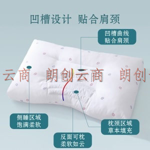 百丽丝 荞麦对枕 枕头芯颈椎枕荞麦草本枕 成人枕芯一对2只装 48×74cm
