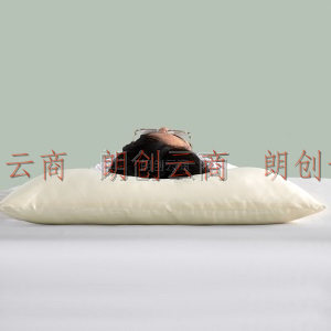 罗莱家纺LUOLAI 真丝对枕 抗菌纤维桑蚕丝对枕成人枕头枕芯 W-One+真丝抗菌纤维对枕 47cm*73cm