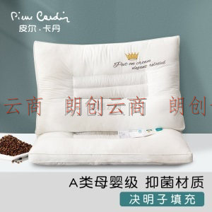 皮尔卡丹 决明子枕 A类抗菌全棉枕头 单人枕芯成人单个枕头芯一对拍2 中枕-单只装