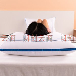 艾薇 枕头枕芯星级酒店羽丝绒枕芯成人家用单人纤维软枕 48*74cm 一对装