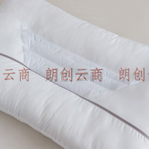 罗莱家纺LUOLAI 枕头枕芯呵护枕决明子枕头芯对枕一对装 黄荆子草本抗菌防螨呵护枕（一对装） X