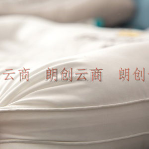 皮尔卡丹 决明子枕 A类抗菌全棉枕头 单人枕芯成人单个枕头芯一对拍2 中枕-单只装