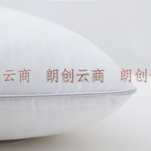 远梦（YOURMOON）枕芯家纺 决明子舒睡枕 单人单只装成人枕头芯 白色 45*70cm