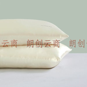 罗莱家纺LUOLAI 真丝对枕 抗菌纤维桑蚕丝对枕成人枕头枕芯 W-One+真丝抗菌纤维对枕 47cm*73cm