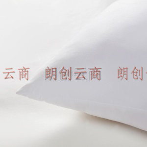 杜邦 DuPont 枕头枕芯 酒店枕头 可水洗纤维枕 成人家用高弹软枕 DSP004
