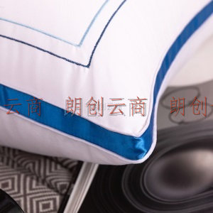 艾薇 枕头枕芯星级酒店羽丝绒枕芯成人家用单人纤维软枕 48*74cm 一对装