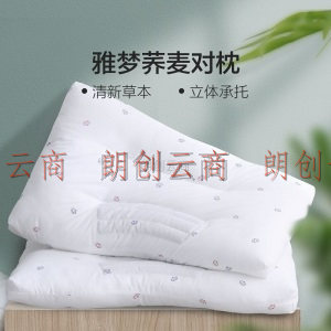 百丽丝 荞麦对枕 枕头芯颈椎枕荞麦草本枕 成人枕芯一对2只装 48×74cm