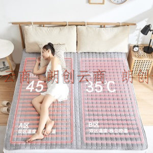 环鼎电热毯双人双控水暖毯电褥子水暖炕烘被 双控1.8*2.0m