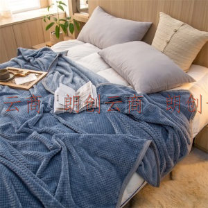 九洲鹿 毛毯 加厚菠萝格贝贝绒毯子 四季透气午睡空调毯毛巾被盖毯  150*200cm