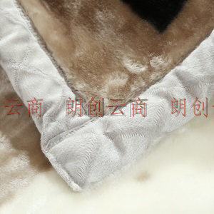 九洲鹿 毛毯家纺 双层盖毯加大加厚拉舍尔毛毯 秋冬保暖厚毯子 冬季空调毯盖毯 约3.6斤150*200cm