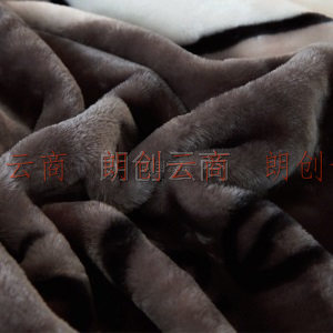 南极人NanJiren 毛毯 双层拉舍尔毛毯 加厚保暖6.6斤双人秋冬厚毯子 冬季空调毯被子盖毯 200*230cm