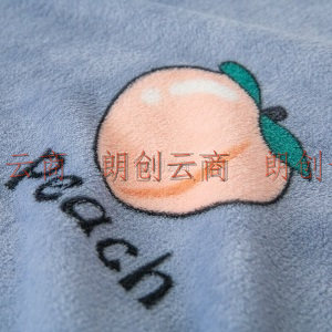艾薇 珊瑚绒毛毯冬季薄款毯子双人空调毯加绒 水蜜桃-兰 200*230cm