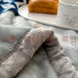 南极人NanJiren 毛毯 双层加厚拉舍尔毛毯 双人秋冬厚被子盖毯盖被毯子 180*220cm