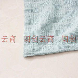 洁丽雅家纺 A类毛巾被100%纯棉夏季薄款空调盖毯双人针织夏凉被子午睡毯子 浅蓝 200*230