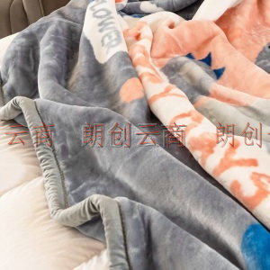 南极人NanJiren 毛毯 双层加厚拉舍尔毛毯 5.6斤秋冬保暖厚毯子被子空调毯冬季盖被盖毯 180*220cm