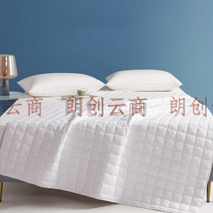 博洋家纺（BEYOND）床褥床垫 全棉水洗棉可水洗席梦思保护罩防尘防滑床罩床褥子 小方块（白） 150*200cm