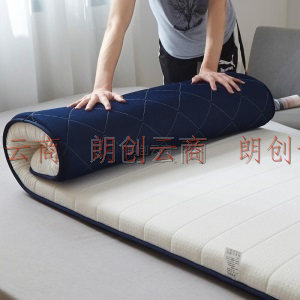 九洲鹿 乳胶床垫子 学生榻榻米可折叠内含乳胶单人床垫 1.2米床宿舍上下铺