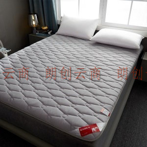 北极绒 床垫家纺 舒适透气床垫子四季保护垫可折叠床褥子 灰色 150*200cm