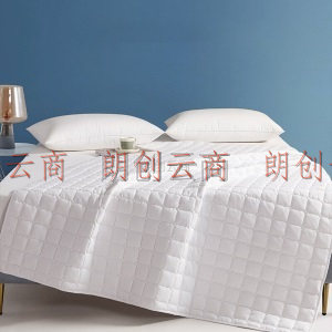 博洋家纺大豆床垫保护罩软垫秋冬季垫褥床褥子床单可水洗垫被 床褥—小方块（白） 150*200cm