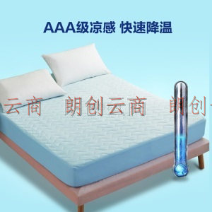罗莱家纺 LUOLAI 夏季空调简约床垫 床护垫 床褥 Cool凉感床垫·蓝 120*200cm