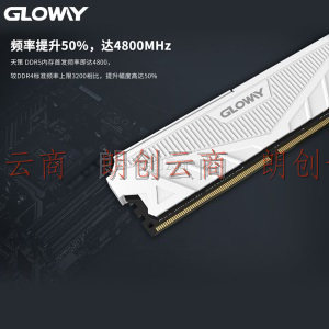 光威（Gloway）16GB(8Gx2)套装 DDR5 4800 台式机内存 天策系列-皓月白