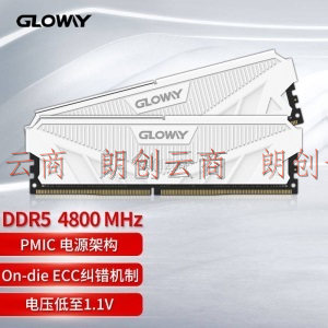 光威（Gloway）32GB(16Gx2)套装 DDR5 4800 台式机内存 天策系列-皓月白