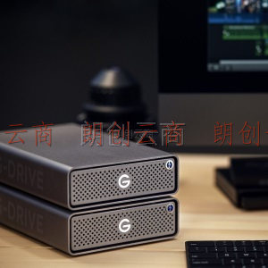 闪迪大师极客 12TB 企业级桌面移动硬盘 3.5英寸 USB3.1 传输速度230MB/S 西部数据高端品牌
