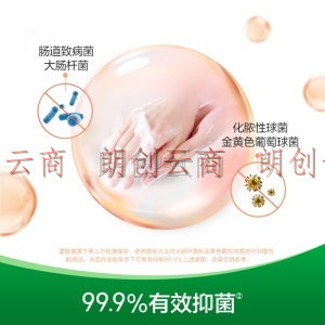 滴露Dettol泡沫抑菌洗手液西柚香型250ml 有效抑菌 99.9%