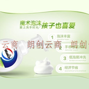 威露士泡沫洗手液（青柠盈润）300ml 有效抑菌99.9% 保障家人健康 泡沫丰富易冲洗