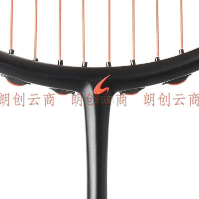 EVERVON 羽毛球拍对拍全碳素4U全能型超轻耐打双拍 YTQT-970炫酷黑