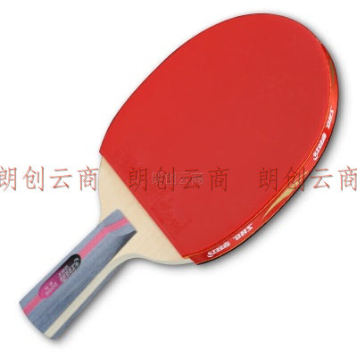红双喜（DHS）二星级直拍乒乓球拍套装H2006对拍
