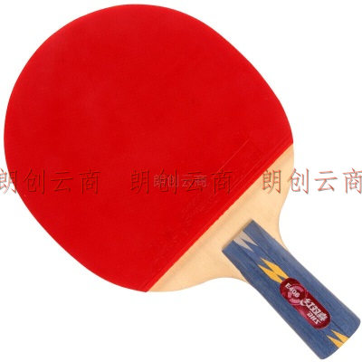 红双喜狂飙四星直拍街头之星双面反胶竞技型乒乓球拍H4006 