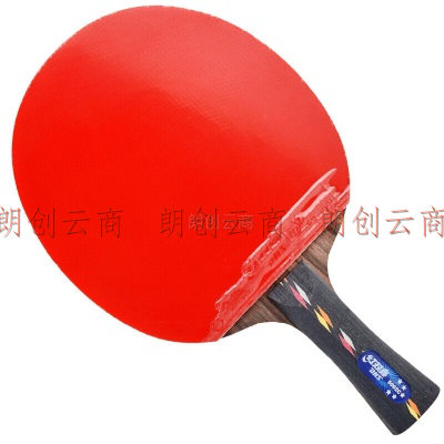 红双喜DHS狂飚五星乒乓球拍横拍碳素单拍双面反胶全能型R5002C