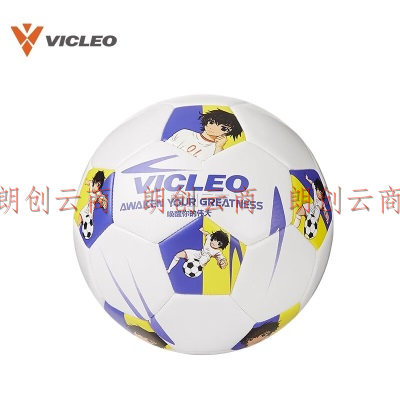 维克利奥VICLEO 4号机缝足球儿童中小学生训练比赛耐磨足球V919412 白紫