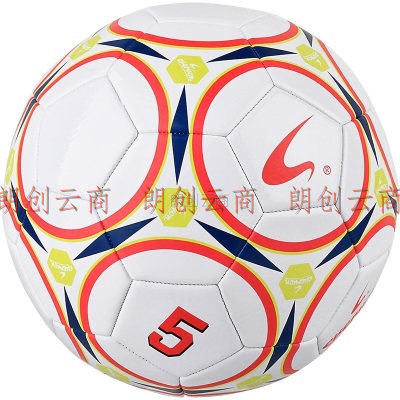 EVERVON 足球儿童成人训练标准 耐磨机缝足球 5号PVC足球 EFP5-883